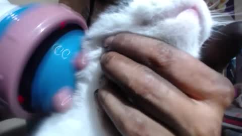 Snapshot of melany_isabella chatting on November 6, 8:54 pm melany online show from November 6, 8:54 pm