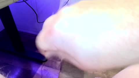 Snapshot of mellomike chatting on September 22, 6:32 pm mellomike online show from September 22, 6:32 pm