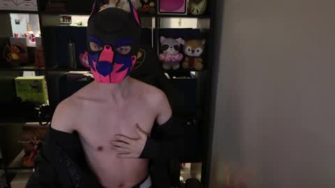 Snapshot of mellpup chatting on March 30, 1:45 pm MellPUP online show from March 30, 1:45 pm