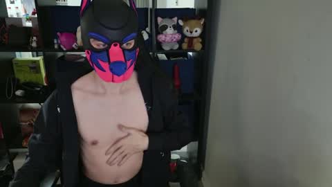 Snapshot of mellpup chatting on April 2, 5:21 pm MellPUP online show from April 2, 5:21 pm