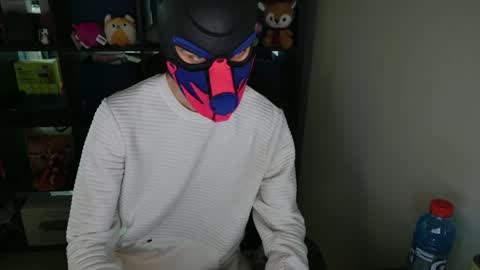 Snapshot of mellpup chatting on April 5, 1:14 am MellPUP online show from April 5, 1:14 am