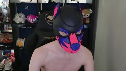 Snapshot of mellpup chatting on April 30, 6:03 pm MellPUP online show from April 30, 6:03 pm