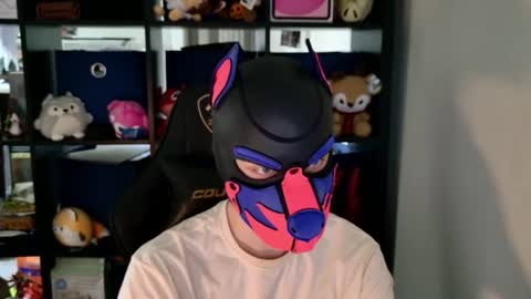 Snapshot of mellpup chatting on June 11, 6:28 pm MellPUP online show from June 11, 6:28 pm