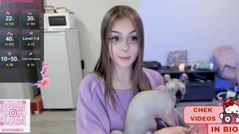 MELONI online show from January 20, 6:31 am