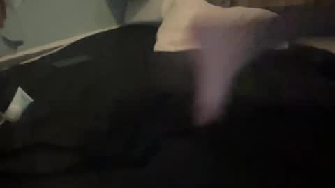 Snapshot of melt13 chatting on October 13, 12:05 pm melt13 online show from October 13, 12:05 pm