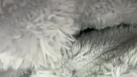 menarethebest123 online show from June 17, 2:47 am