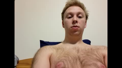 meow732 online show from December 4, 3:38 am