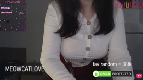 Snapshot of meowcatlove chatting on January 20, 9:01 pm meowcatlove online show from January 20, 9:01 pm