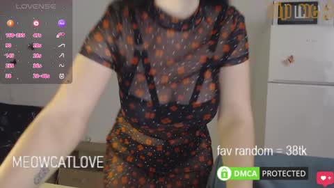 Snapshot of meowcatlove chatting on January 29, 8:14 pm meowcatlove online show from January 29, 8:14 pm