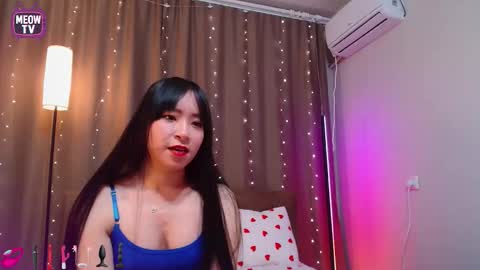 meowkami online show from February 5, 11:42 pm