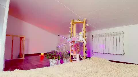 meowroslava online show from November 14, 9:30 am