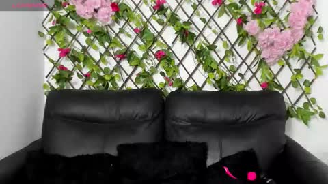 My next birthday is December 11th. online show from November 14, 12:42 am