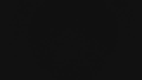 Wade online show from February 13, 11:28 am