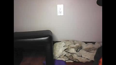 mi45419 online show from November 2, 7:05 pm