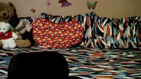 Snapshot of mia_rein chatting on June 26, 6:29 am mia_rein online show from June 26, 6:29 am