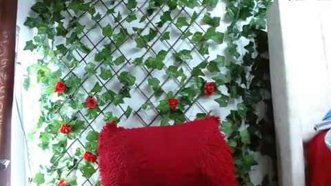 Snapshot of mia_squirt_big chatting on December 6, 12:49 pm Mia squirt big INDEPENDENT MODEL...ONLYFANS online show from December 6, 12:49 pm