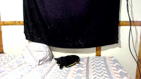 Mia  Sam online show from December 16, 4:01 pm