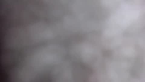 MiahLove31 online show from October 17, 4:59 am