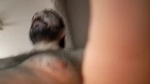 Snapshot of michael666c chatting on February 27, 9:00 am michael666c online show from February 27, 9:00 am