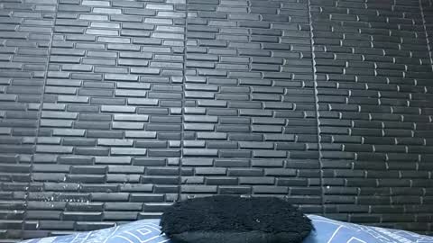 Michael Daviss online show from February 3, 12:47 pm