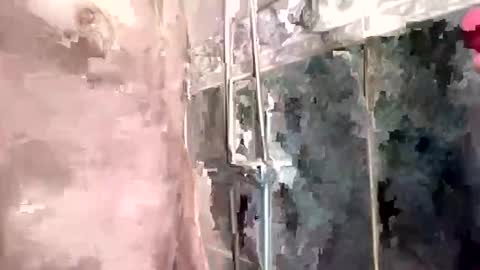 Snapshot of mickavis1975 chatting on February 3, 5:24 pm mickavis1975 online show from February 3, 5:24 pm