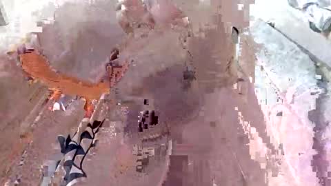 mickey_2007 online show from November 30, 7:40 pm