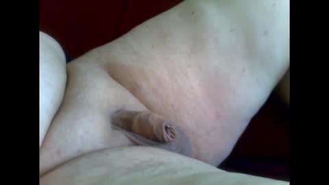 micropimmel online show from January 11, 1:38 pm