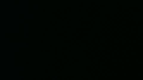 Snapshot of micwalrus chatting on March 5, 4:36 pm micwalrus online show from March 5, 4:36 pm