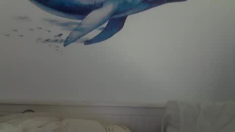 Snapshot of midhir chatting on February 17, 2:37 pm kike online show from February 17, 2:37 pm