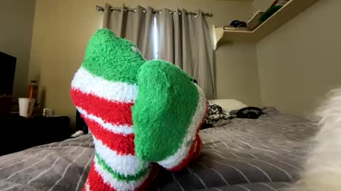 mik138 online show from December 15, 3:05 pm