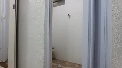 Snapshot of mike11343 chatting on March 6, 5:53 pm mike11343 online show from March 6, 5:53 pm