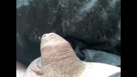 Snapshot of mikke332 chatting on February 10, 11:57 am mikke332 online show from February 10, 11:57 am