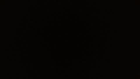 Rosalie  online show from March 1, 11:01 am