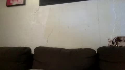 Snapshot of milfsfreaky69 chatting on May 24, 3:17 pm BabygirlsFreaky online show from May 24, 3:17 pm