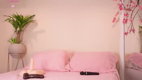    online show from October 23, 12:15 pm