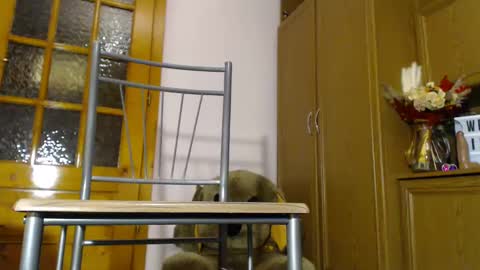 Snapshot of milk_and_hon3y chatting on December 4, 6:11 am Im to see you here Pvts are open I love patterns soo much online show from December 4, 6:11 am