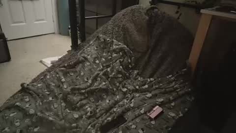 Snapshot of milky479 chatting on March 9, 8:40 am milky479 online show from March 9, 8:40 am