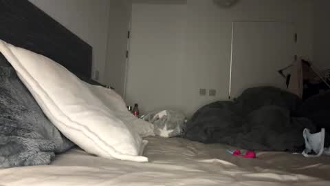 Mimi Monroe  online show from November 9, 7:01 pm