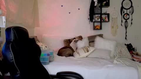 Mindy Mars online show from January 16, 3:38 pm