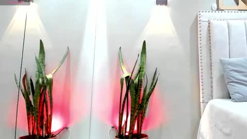    online show from November 14, 12:04 pm