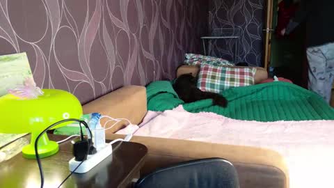 Mira online show from January 17, 8:41 am