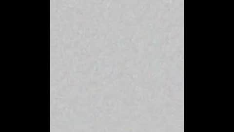 Misa online show from November 24, 8:03 am