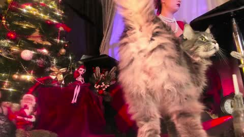 Snapshot of miss_asmodeus chatting on December 24, 9:00 pm missAsmodeus online show from December 24, 9:00 pm