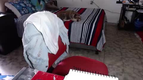 Maria Gomezz online show from February 2, 5:33 pm