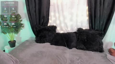 Snapshot of missmeegan_ chatting on December 6, 1:44 pm Alejandra online show from December 6, 1:44 pm