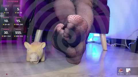 Jhadee online show from December 23, 3:15 am