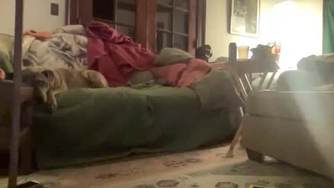 Mizz Storm online show from March 15, 3:45 am