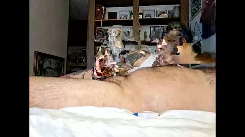 Kittykittybangbang online show from February 15, 7:43 pm