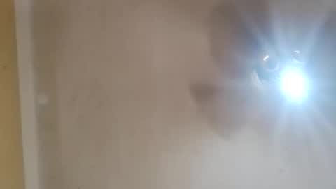 Snapshot of modelo_web18 chatting on April 2, 8:06 pm camilo online show from April 2, 8:06 pm