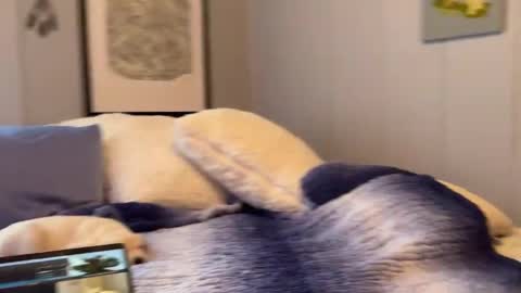 Snapshot of mommamia12 chatting on January 6, 2:58 pm Mia online show from January 6, 2:58 pm